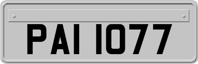 PAI1077