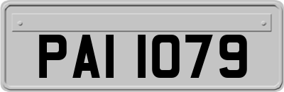 PAI1079