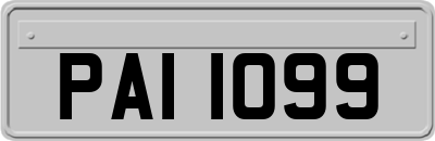 PAI1099
