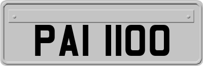 PAI1100