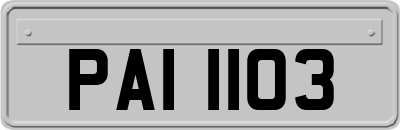 PAI1103