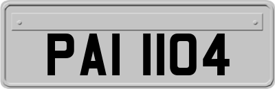 PAI1104