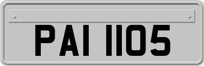 PAI1105