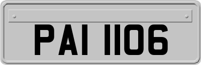 PAI1106