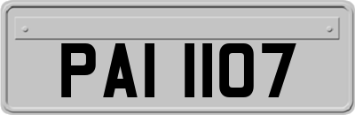 PAI1107