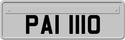 PAI1110