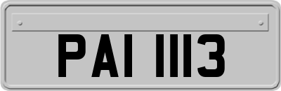 PAI1113