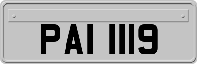 PAI1119