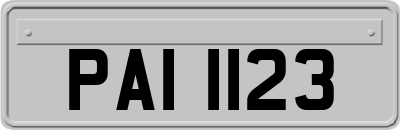 PAI1123