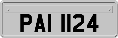 PAI1124