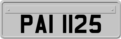 PAI1125