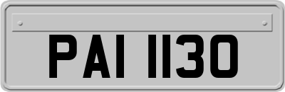 PAI1130