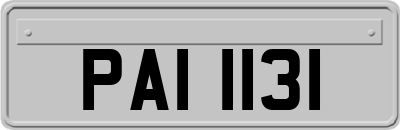 PAI1131