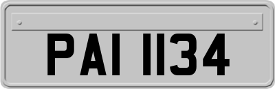 PAI1134