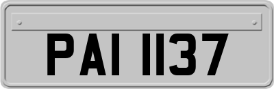 PAI1137