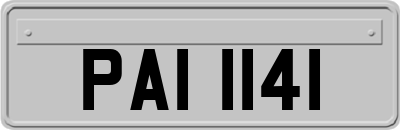 PAI1141