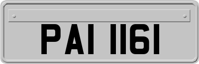 PAI1161