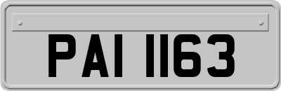 PAI1163