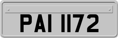 PAI1172