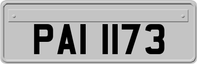 PAI1173