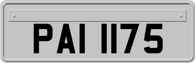 PAI1175