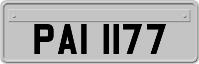PAI1177