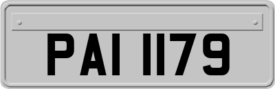 PAI1179