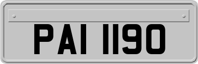 PAI1190