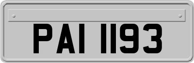 PAI1193