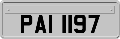 PAI1197