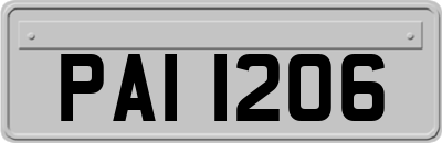 PAI1206