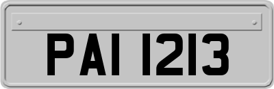 PAI1213