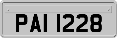 PAI1228