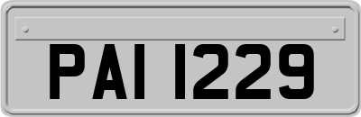 PAI1229