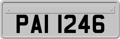 PAI1246
