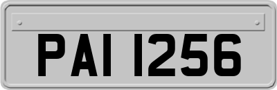 PAI1256