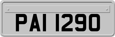 PAI1290
