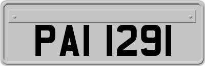 PAI1291