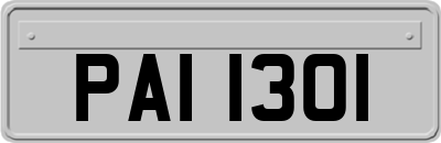 PAI1301