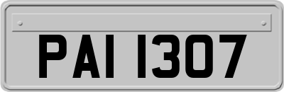PAI1307