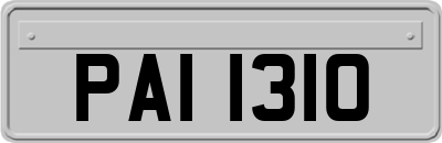 PAI1310