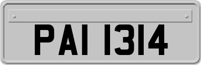 PAI1314