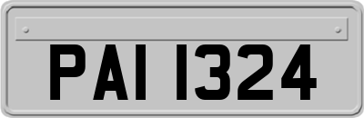 PAI1324