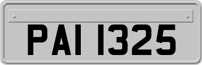 PAI1325