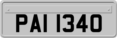 PAI1340