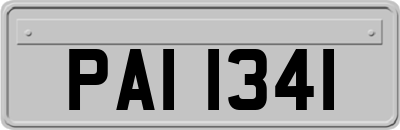 PAI1341