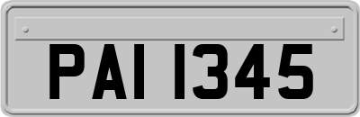 PAI1345