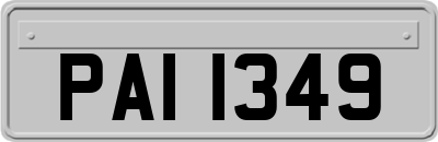 PAI1349