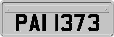 PAI1373