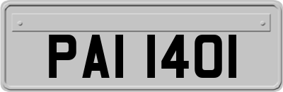 PAI1401